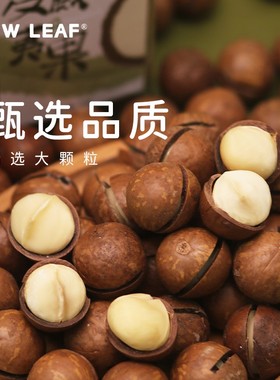 NewLeaf夏威夷果250g罐装奶油味孕妇儿童休闲零食坚果当季新货