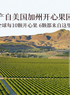 Newleaf美国开心果自然开口大颗粒坚果盒装168g炒货健康休闲零食