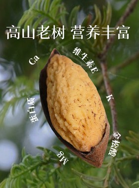 Newleaf诸暨香榧138g坚果炒货大颗干果仁特产健康零食独立小包装