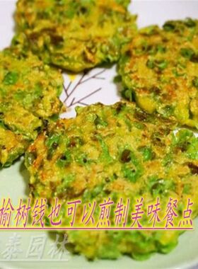 别墅榆钱树榆树苗榆树盆景t可以z吃的榆树钱庭院栽摇钱树苗盆栽地