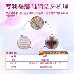 博乐丹洁牙粉40g去牙结石除口臭猫咪狗狗洁齿洁齿粉口腔清洁用品