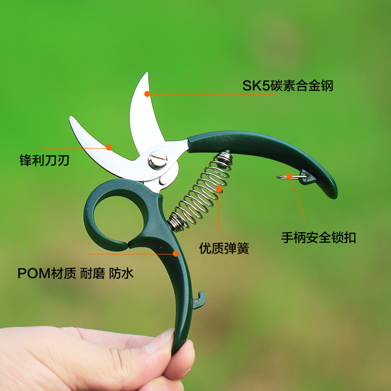 园艺迷你修花小剪刀养花多肉植物枝叶修剪园林修枝剪小花剪