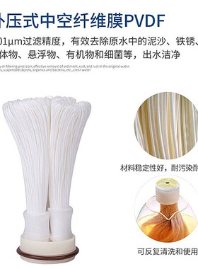 自来水井水e黄泥水过滤器不锈钢全屋净水器家用PVDF超滤中央净水