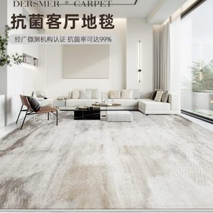 缔奢美抗菌地毯客厅高级轻奢环保加厚简约奶油风侘寂茶几地垫新款