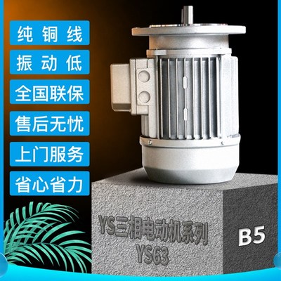 德东国标YS63系列小功率380V立式异步电机三相电动机B5未来万家