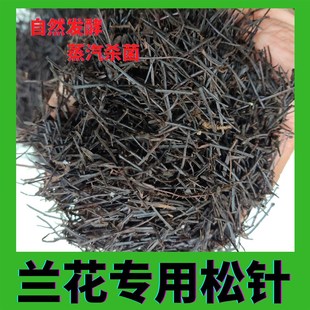 兰花专用松针土兰花专用土纯松针无土松针腐熟松针绿萝无土纯松针