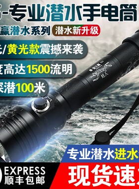 金三赢Q5专业潜水手电筒户外防水LED超亮强光充电水下照明补光T6