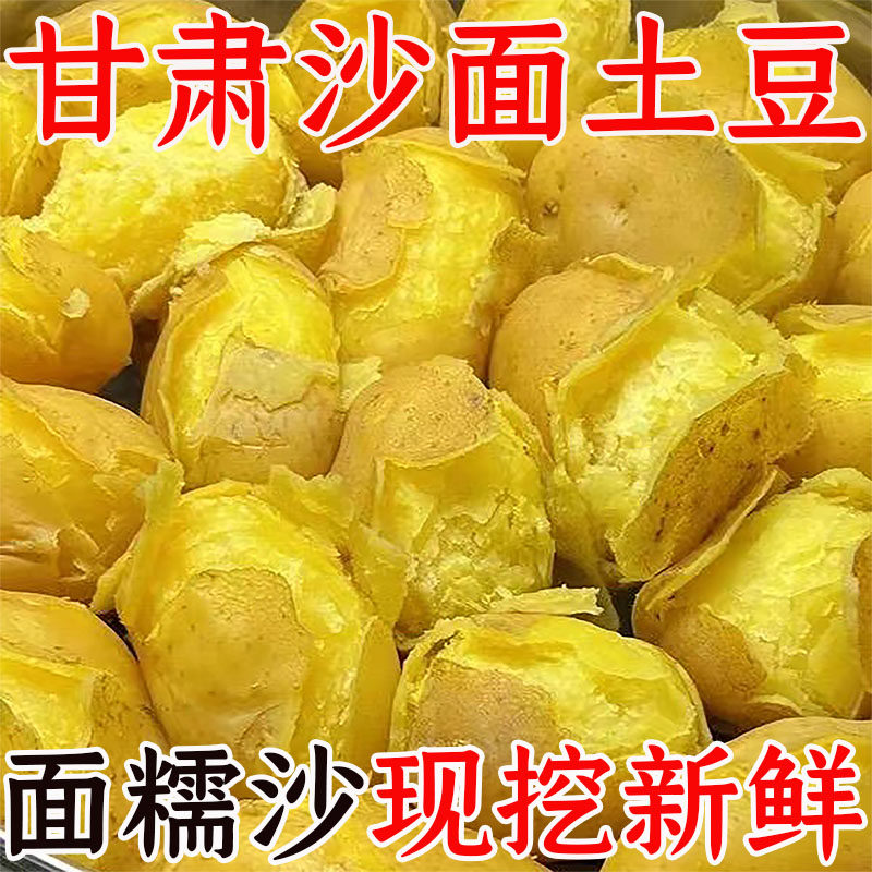 2026定西现挖黄心土豆整箱