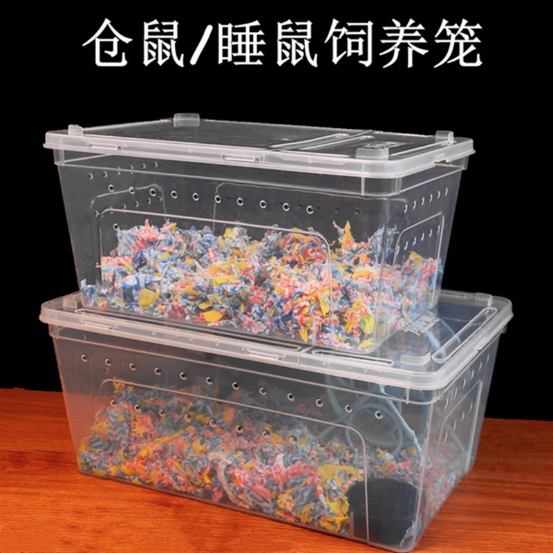 西班牙睡鼠饲养盒透明仓鼠金丝熊小窝用品花枝鼠养殖箱睡鼠外带笼