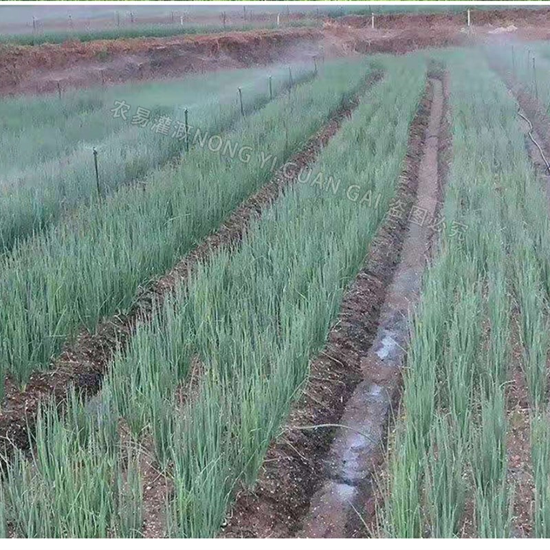 花园别墅智能灌溉 地插微喷喷灌 菜园浇灌系统自动旋转微喷头浇菜