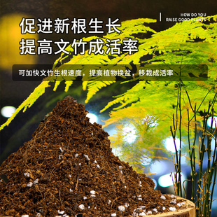 文竹专用营养土种花绿植土壤通用型家用盆栽种植土养花卉有机泥土