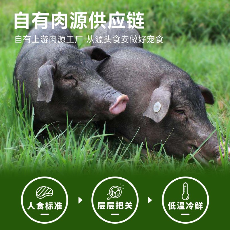 福佩迪全价冻干生骨肉主食猫粮猪肉猫粮成猫幼猫营养增肥发腮长肉图片