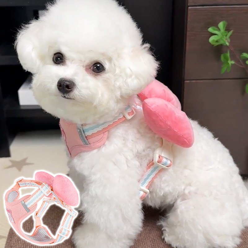 小狗狗牵引绳小型犬背心式比熊泰迪蝴蝶结宠物背带防挣脱遛狗绳子