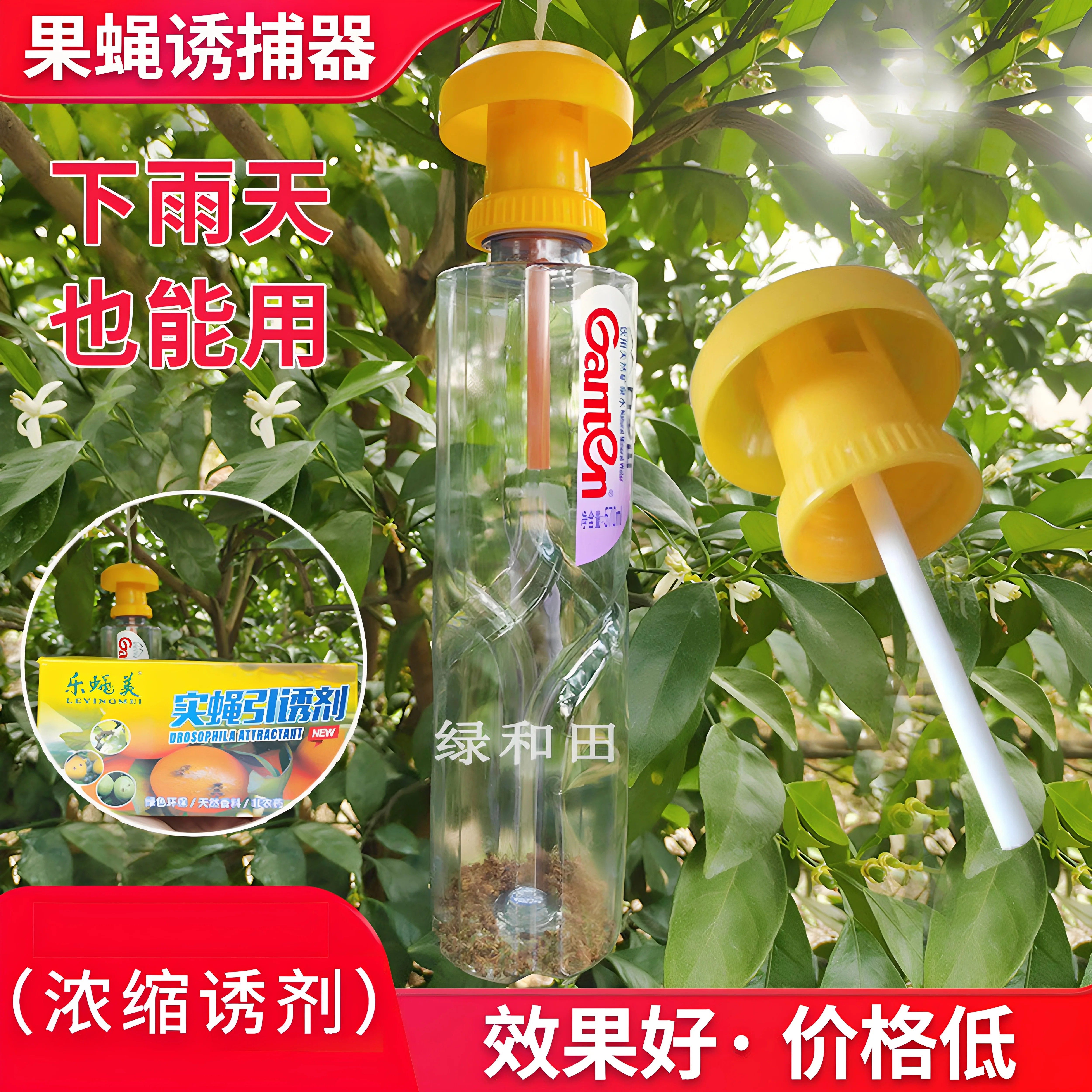 果实蝇引诱瓜蝇诱捕器诱针蜂专用