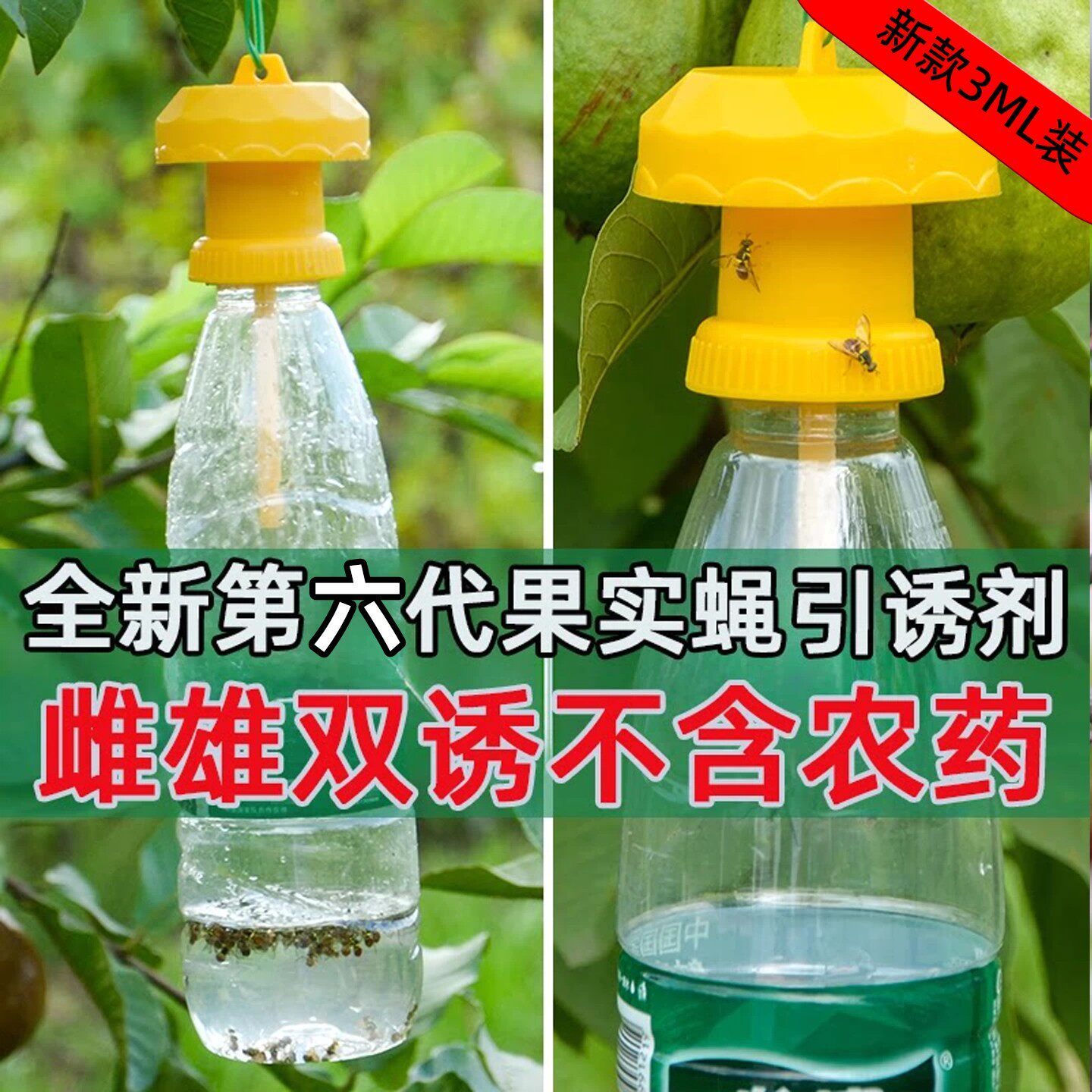 简易果园实蝇诱捕器诱剂捕捉诱剂