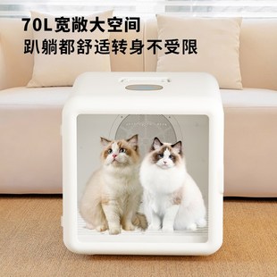 睿宠宠物烘干箱家用小型犬猫咪狗狗洗澡吹毛烘干机吹水机自动吹风