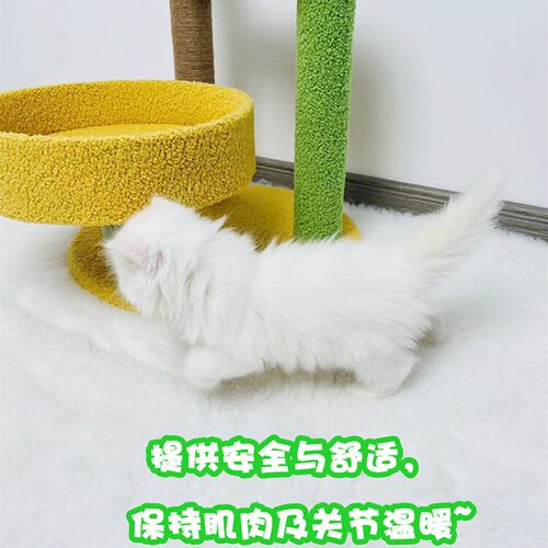 猫咪睡垫狗垫子秋冬款保暖毛毯宠物健康乳胶垫狗窝猫垫保暖睡觉用