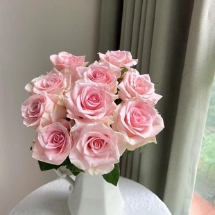 粉爱神玫瑰鲜切花 家庭 办公室装饰水养瓶N插花 生日情人节花束