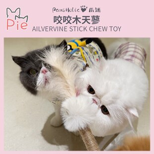 梁老财磨牙洁齿咬咬木天蓼自嗨解闷逗猫棒耐咬猫薄荷羽毛爪迷玩具