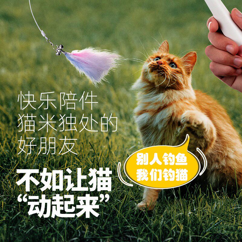 猫玩具逗猫棒激笔光充电手电筒羽毛铃铛替换头可伸缩红外线逗猫笔