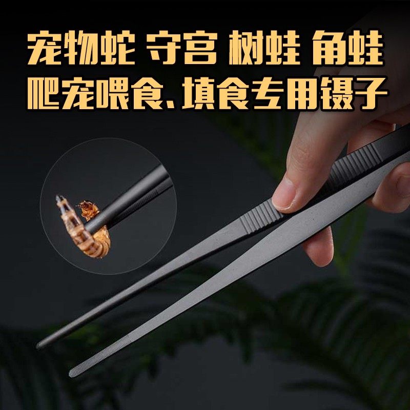 不锈钢镊子宠物蛇喂食填食爬宠鳄乌龟变色龙守宫蟋蟀弯头直头镊子,宠物/宠物食品及用品,爬宠缸/箱,淘宝优惠券,粉丝福利购,淘宝优惠卷