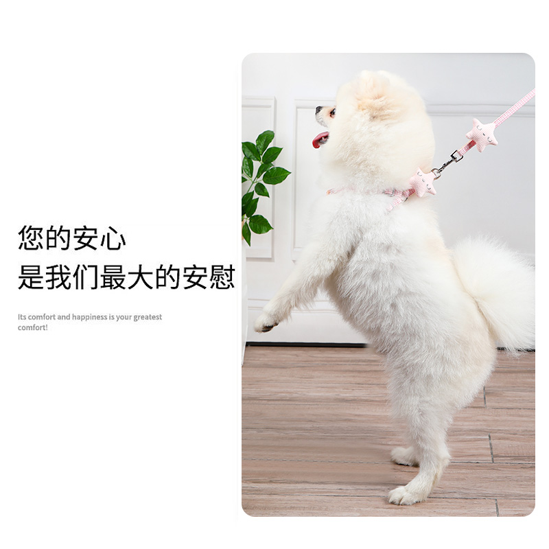 小狗狗泰迪小型犬牵引绳夏天比熊遛狗小狗幼犬狗绳子链子宠物用品