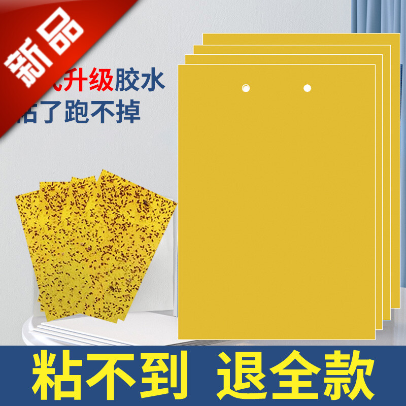 粘虫板黄板双面诱虫板贴纸灭小飞虫沾果蝇诱捕器果园蚊子苍蝇大棚