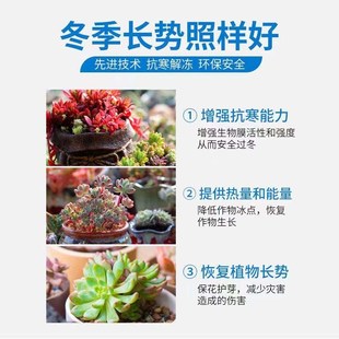 浇花营养液通用多肉专用过冬防冻剂多肉爆芽素抗寒防冻植物活力素
