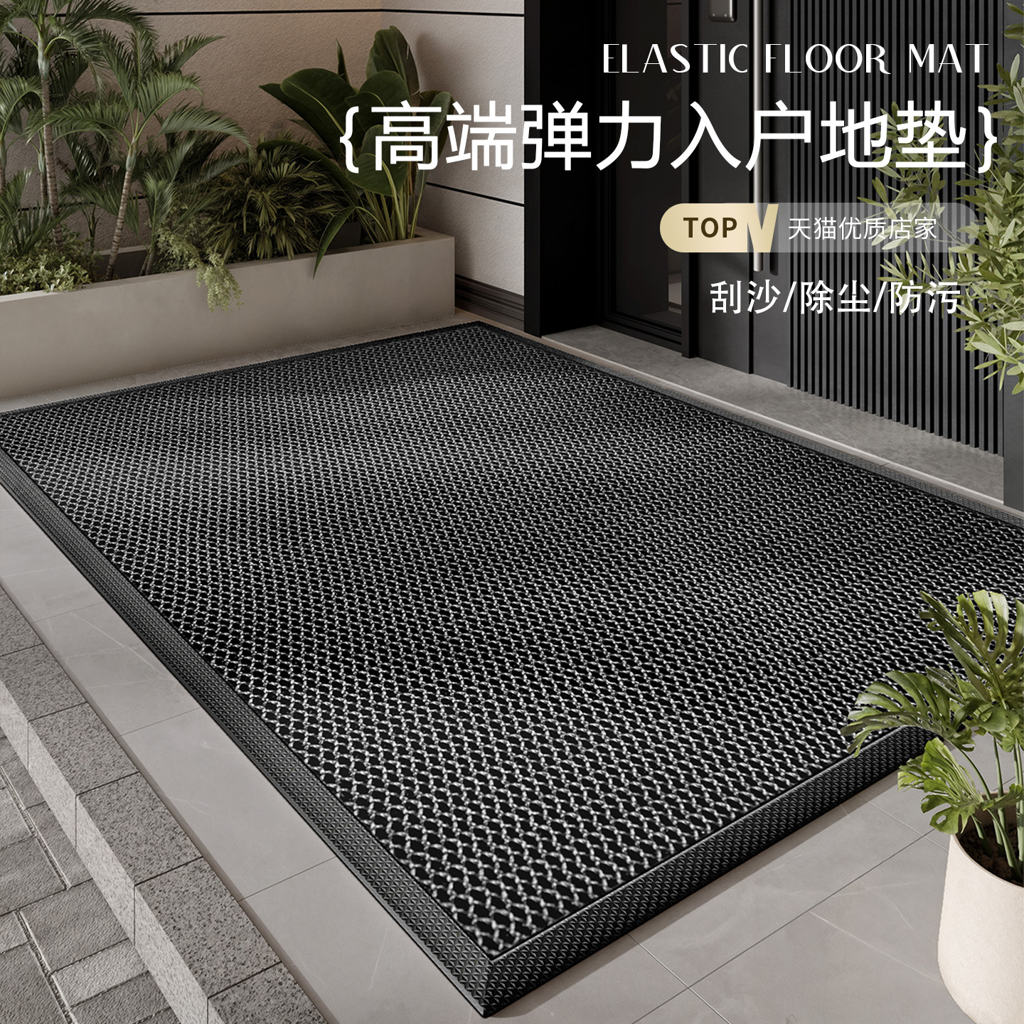 2025新款入户门地垫丝圈进门大门口脚垫家用免洗门外蹭土pvc地毯