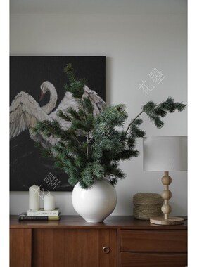 花曌 五针松鲜切枝鲜花水养真花真树枝家居餐桌书桌东方瓶插花