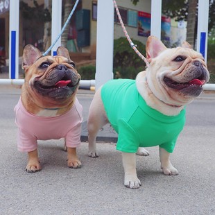 法宝宠物 定制款狗狗春秋衣服可爱裙子打底衫纯棉法斗巴哥衣服