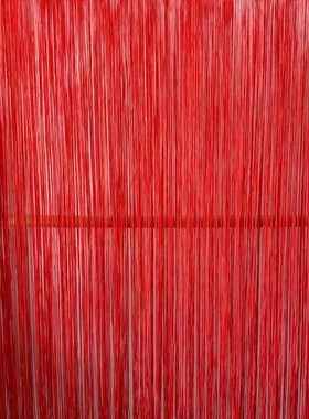 高特密加厚红色线帘婚浪漫质感拉满舞台场景布置道具婚礼流苏直帘