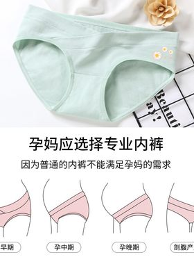孕妇低腰纯棉内裤秋冬薄款t怀孕初期孕早期孕中期晚期大码短裤内