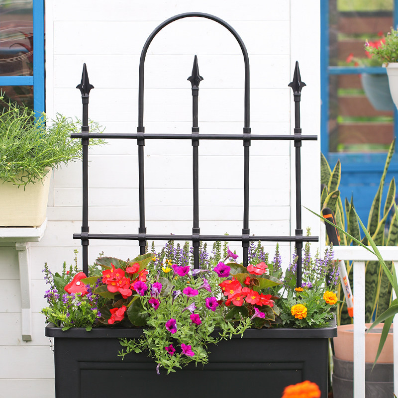 铁艺篱笆月季爬藤架铁线莲蔷薇支撑杆庭院花园艺藤本种植户外栅栏