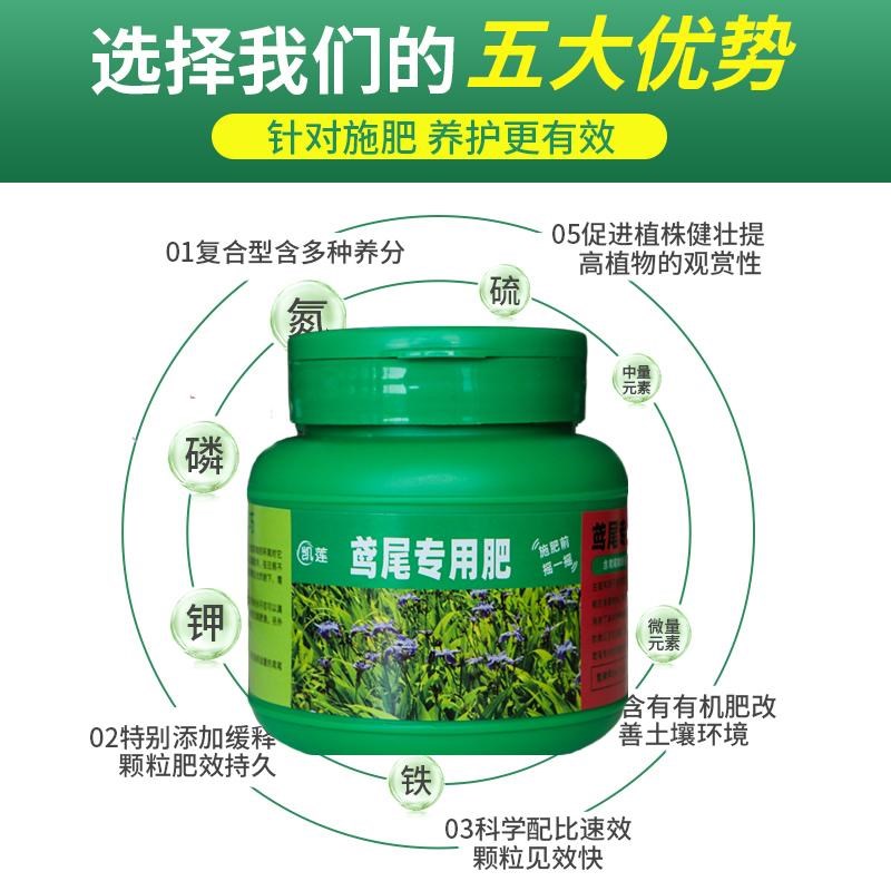 鸢尾花专用控释肥爆盆阳台花园增色绿植盆栽通用型颗粒复合型肥料
