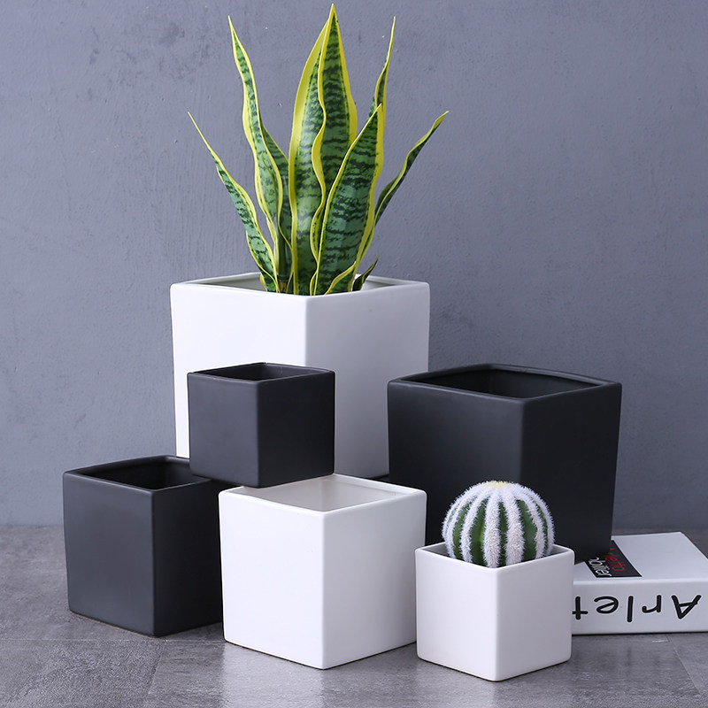 陶瓷花盆家用正四方形带托盘无孔北欧绿萝多肉室内亚光黑白颜色