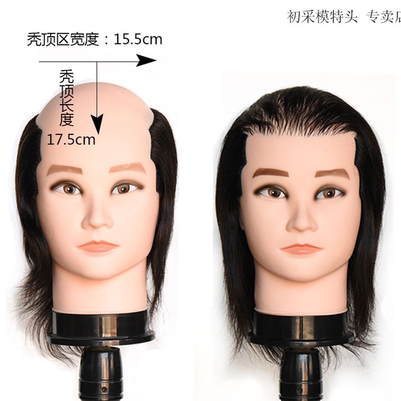 美发头模真发 男女秃顶秃头半秃修剪烫染 织发补发用模特头假人头