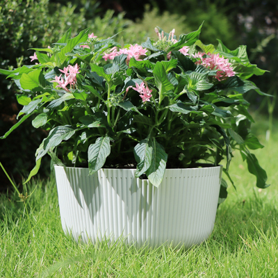 垂吊吊兰花盆悬挂式塑料藤编吊篮多肉植物挂壁绿萝常春藤大号加厚