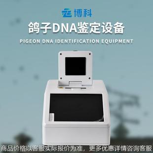 赛鸽飞行能力鉴定仪鸽子dna鉴定设备dna鉴定仪器鸽子DNA检测仪器