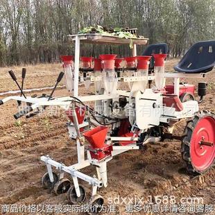 自走式 蔬菜苗移栽机辣椒西红柿汽油移栽机供应苗杯2行4行