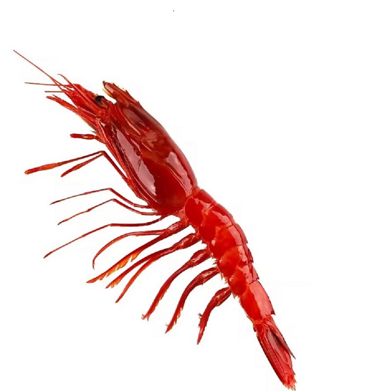 红魔虾活速冻冷冻虾甜虾牡丹虾图片
