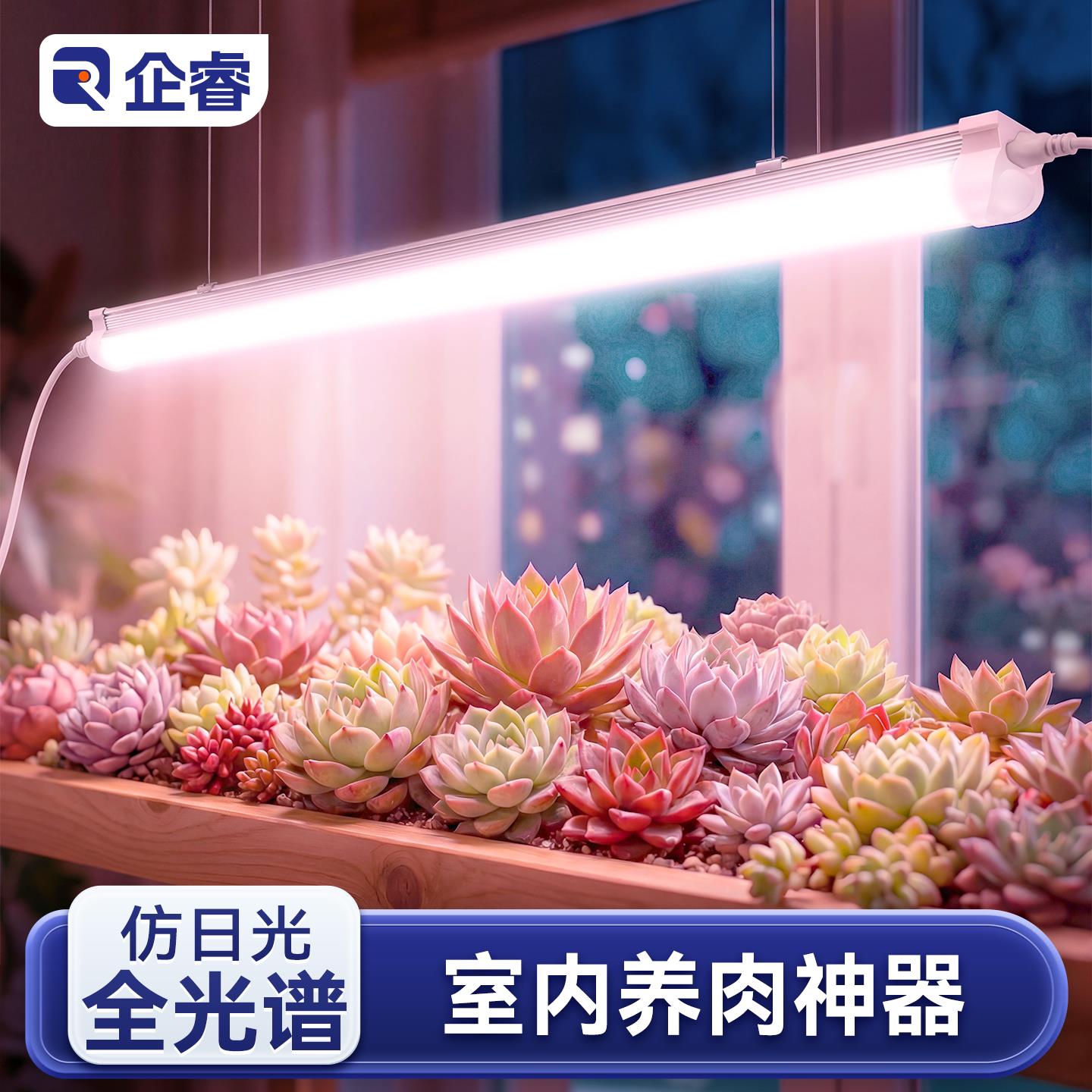 植物补光灯多肉专用上色彷太阳光全光谱家用LED植物生长灯排室内