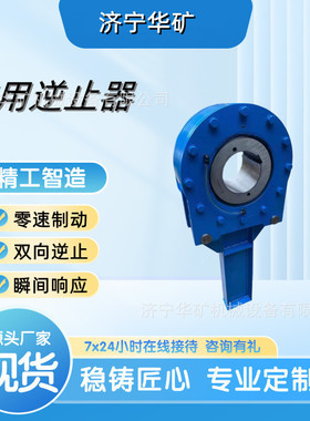 NF80逆止器 防止倒滑自动触发 合金钢齿轮 小型NF80逆止器