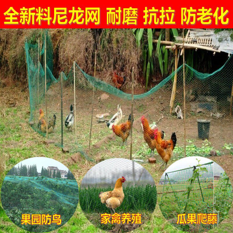 塑料养殖尼龙网隔离网塑料网防护网养鸡网果园安全网拦鸡网围栏网