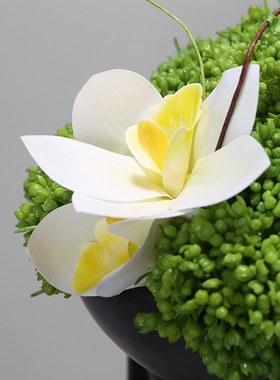 中式现代仿真绿色绣球果蕙兰装艺餐桌玄关前台洽谈桌售楼处