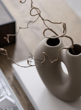 瑞典ooee Deign磨砂曲线陶瓷瓶客厅鲜瓶插器异形孔