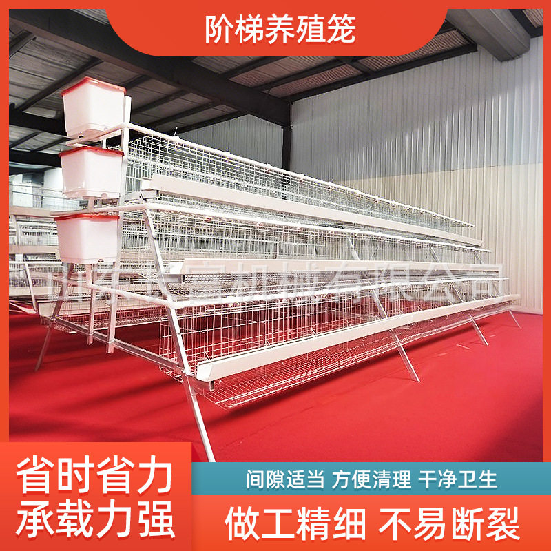 半自动A型立体镀锌鸡舍家用养殖捡蛋清粪设备H型全自动层叠式鸡笼