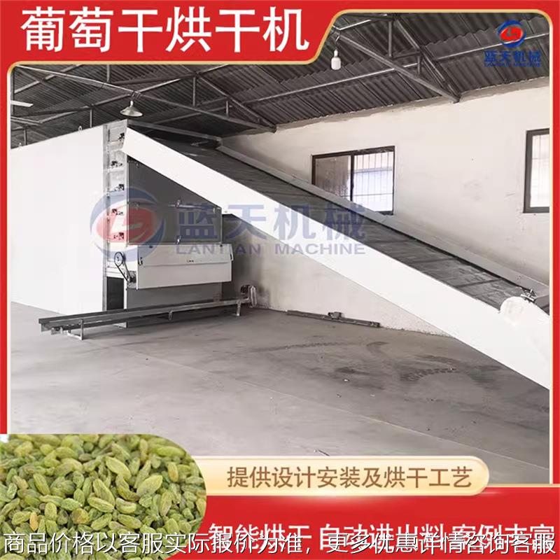 葡萄烘干机 新疆无籽绿香妃青提子阳光玫瑰风干机 葡萄干烘干设备