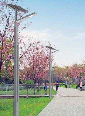 一体化路灯6米8米市政工程款农村市电led路灯