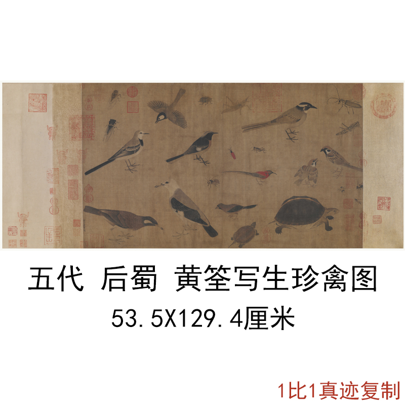 五代黄筌写生珍禽图复古书画作品国画真迹高清微喷仿古复制品装饰